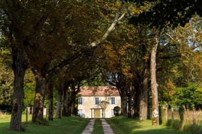 Miniature Location salle Pons (Charente-Maritime) - Château de Seugnac #1 Table dressée pour le petit-déjeuner dans une salle à manger élégante avec chaises en bois et buffet en arrière-plan.