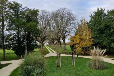 Miniature Location salle Pons (Charente-Maritime) - Château de Seugnac #3 Table dressée pour le petit-déjeuner dans une salle à manger élégante avec chaises en bois et buffet en arrière-plan.