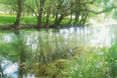 Miniature La Seugne en bas du promontoire où trône le Château de Seugnac Table dressée pour le petit-déjeuner dans une salle à manger élégante avec chaises en bois et buffet en arrière-plan.