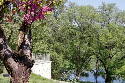 Miniature Un cadre à couper le souffle Table dressée pour le petit-déjeuner dans une salle à manger élégante avec chaises en bois et buffet en arrière-plan.