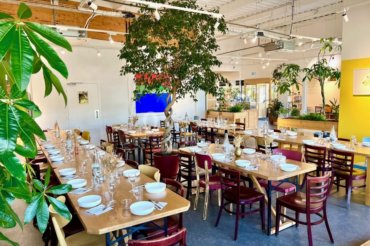 Salle de restaurant lumineuse avec tables en bois dressées, entourées de chaises colorées et décorée de plantes.