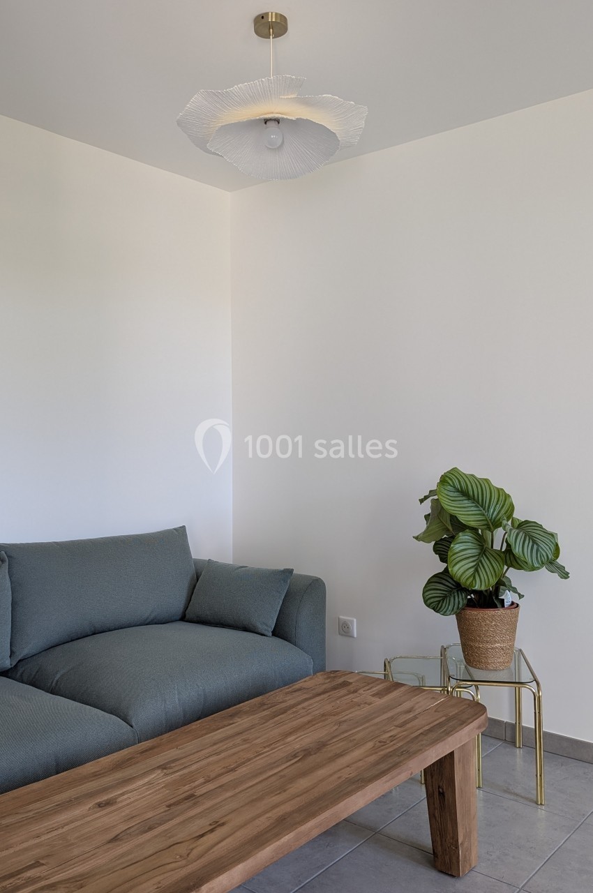 Salon minimaliste avec canapé gris, table basse en bois, plante en pot sur une table en verre et luminaire au plafond.