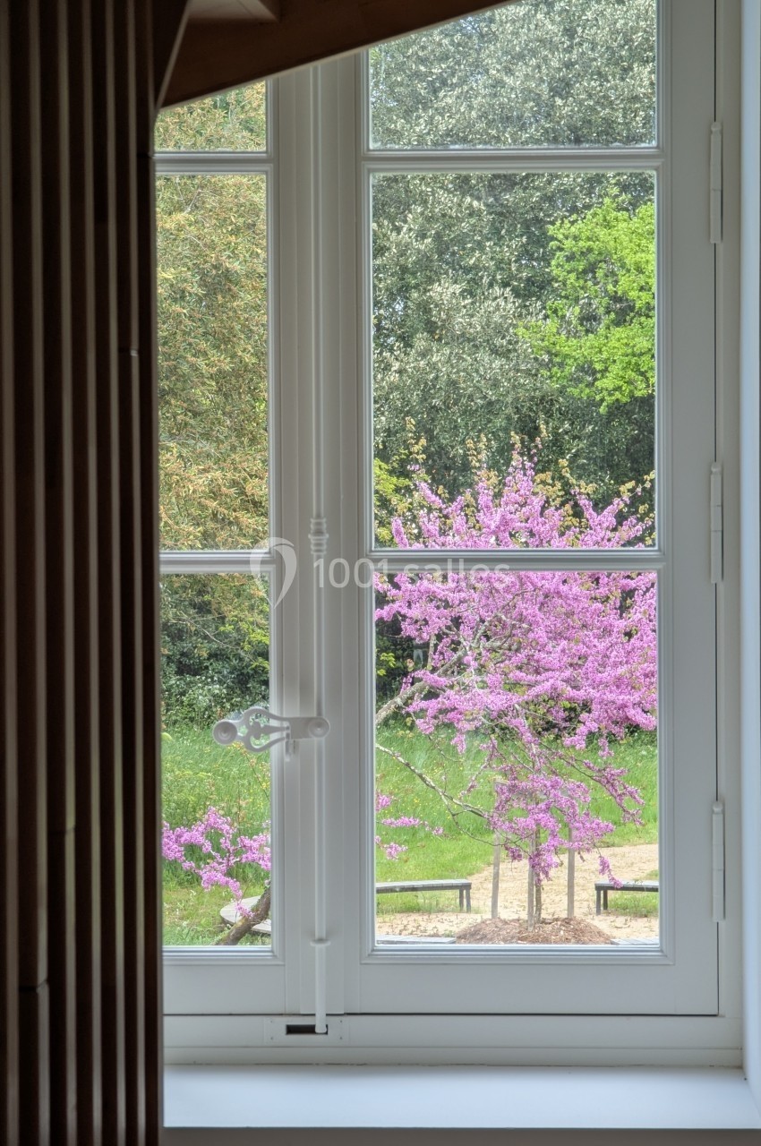 Vue depuis une fenêtre sur un jardin avec un arbre en fleurs roses et une pelouse entourée de verdure.