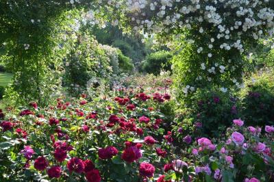 Miniature Location salle Morienval (Oise) - Abbaye De Morienval #9 Location salle Morienval (Oise) - Abbaye De Morienval #20