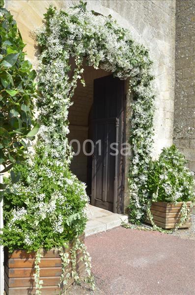 Location salle Morienval (Oise) - Abbaye De Morienval #11