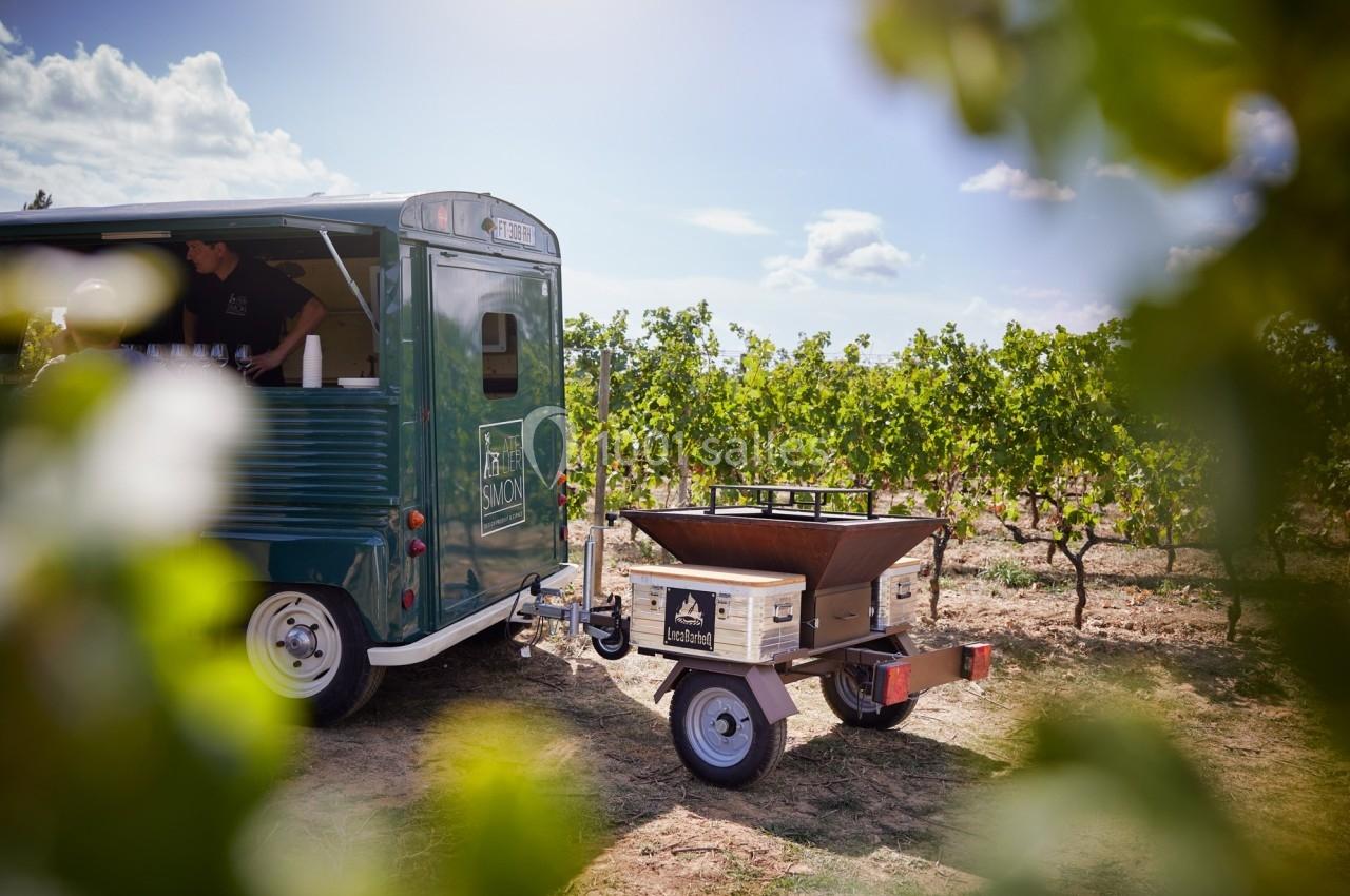 Camion vintage et remorque dans un vignoble ensoleillé, entourés de rangées de vignes verdoyantes.