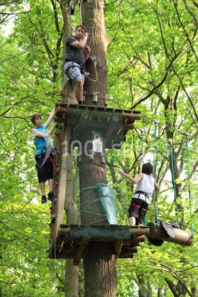 Sherwood Parc - galerie - photo 13