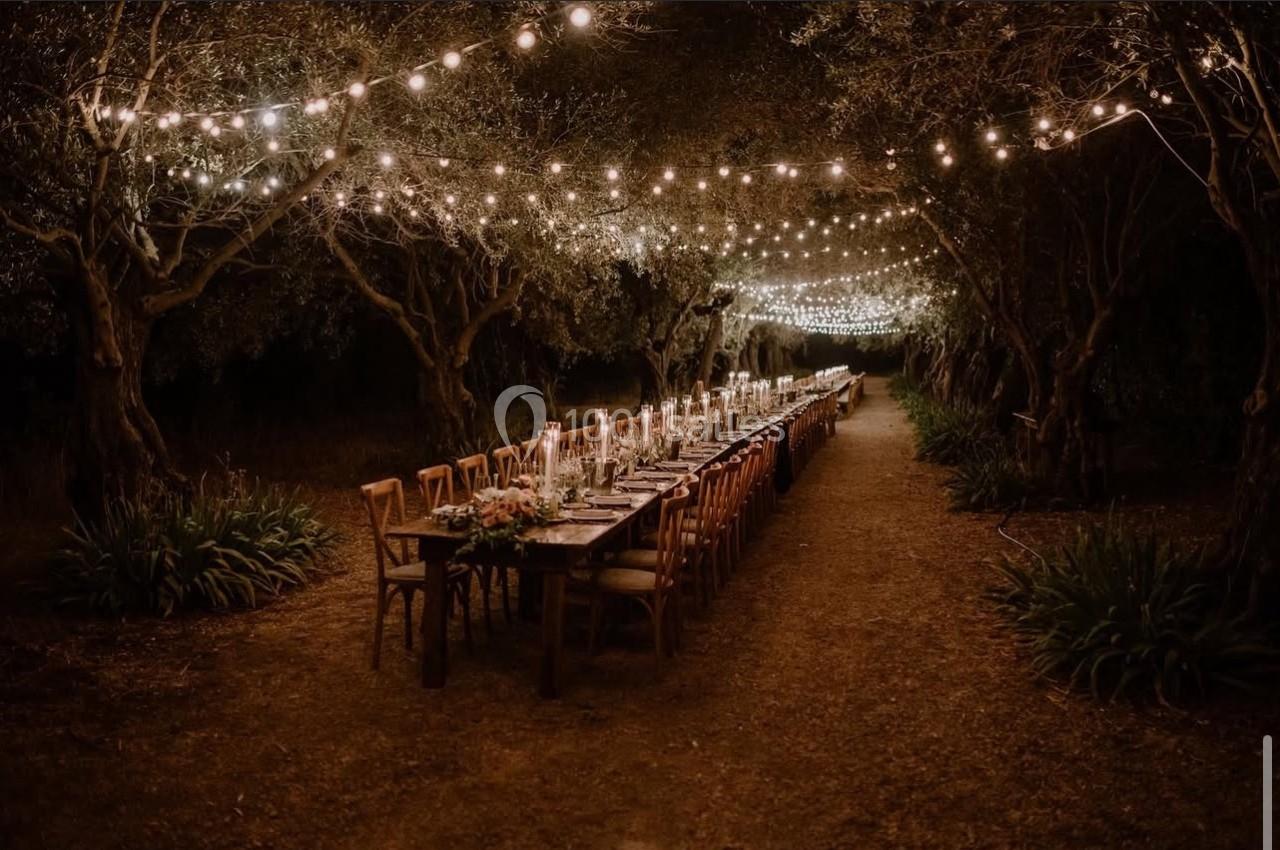 Table longue décorée pour un dîner en plein air, entourée d'arbres et éclairée par des guirlandes lumineuses suspendues.