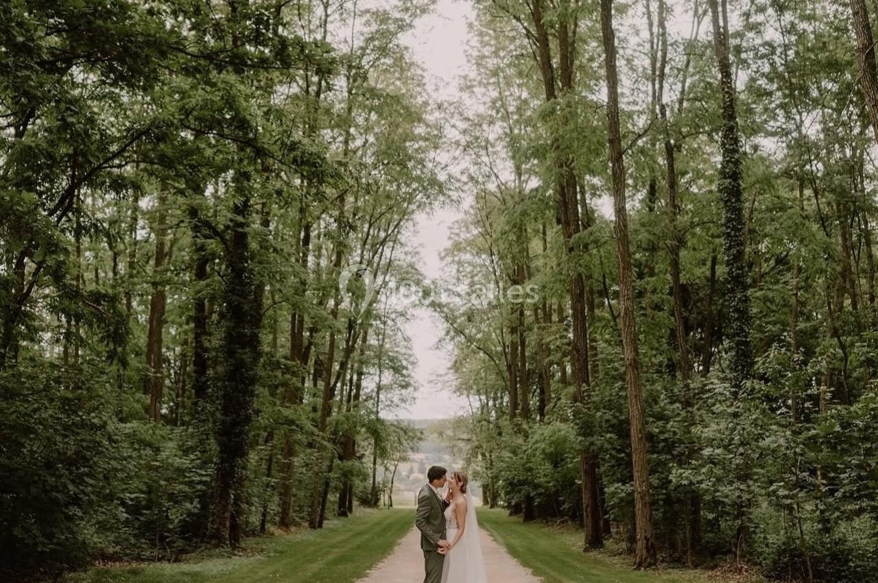Un couple en tenue de mariage se tient au centre d'une allée bordée d'arbres dans un cadre naturel verdoyant.