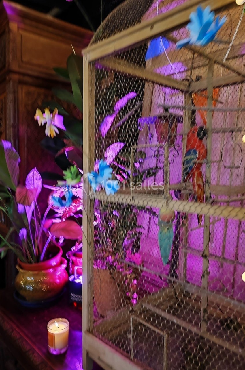 Une cage décorative en bois et grillage avec des fleurs artificielles, entourée de plantes et éclairée par une lumière…