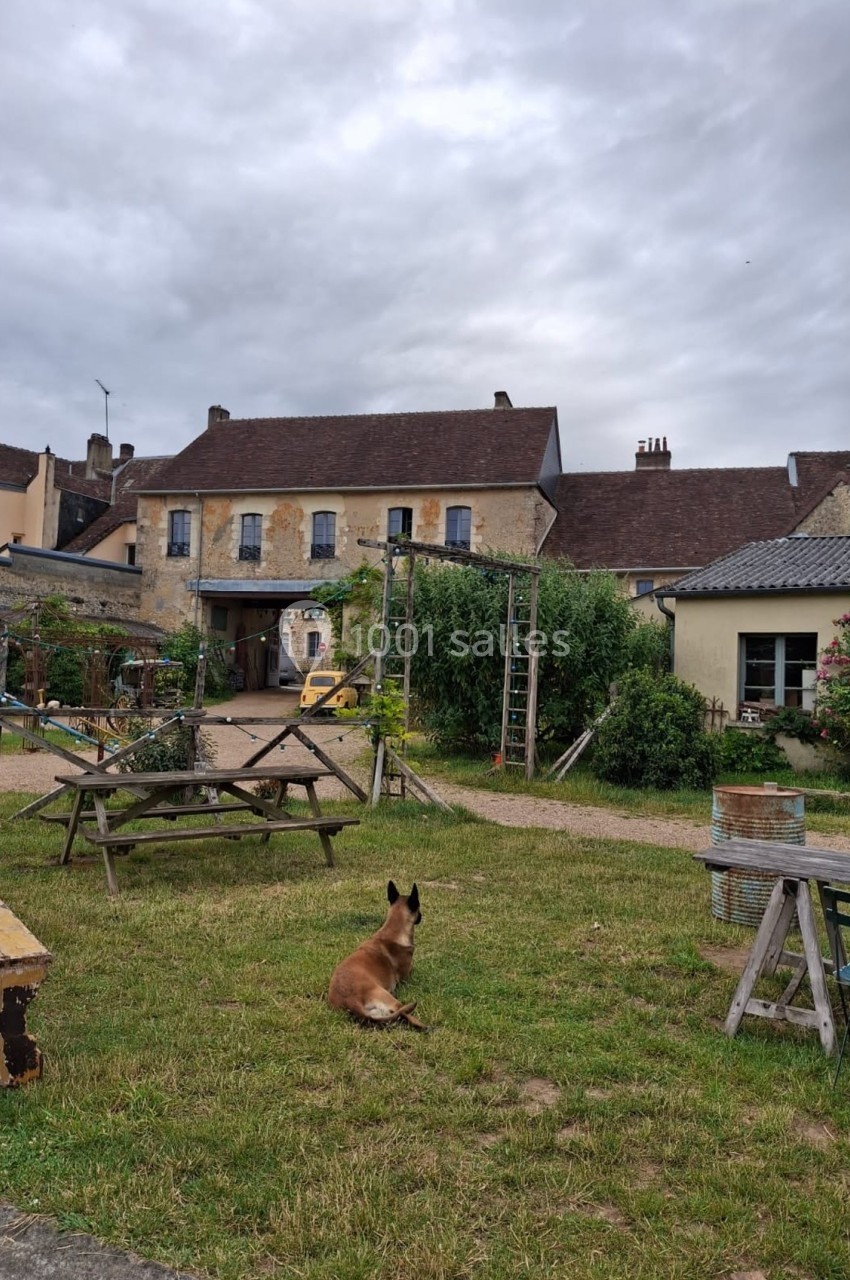 Un chien assis sur une pelouse dans une cour avec des bâtiments anciens, des tables en bois et un ciel nuageux.
