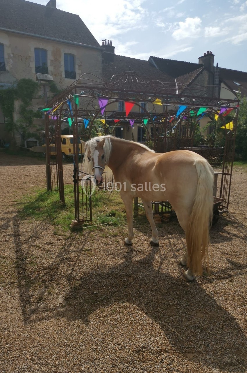 Cheval beige attaché près d'une structure métallique décorée de fanions colorés, devant des bâtiments en pierre.
