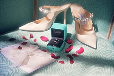 Miniature Proréal #20 Femme en robe de mariée posant près d'albums photo élégants, entourée de bijoux et d'un décor raffiné.