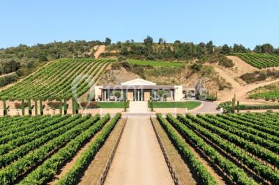 Miniature Location salle Roquebrune-sur-Argens (Var) - Château Vaudois #18 Allée rouge menant à une cérémonie en plein air, entourée de chaises blanches et de jardins verdoyants.