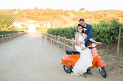 Miniature Location salle Roquebrune-sur-Argens (Var) - Château Vaudois #19 Allée rouge menant à une cérémonie en plein air, entourée de chaises blanches et de jardins verdoyants.
