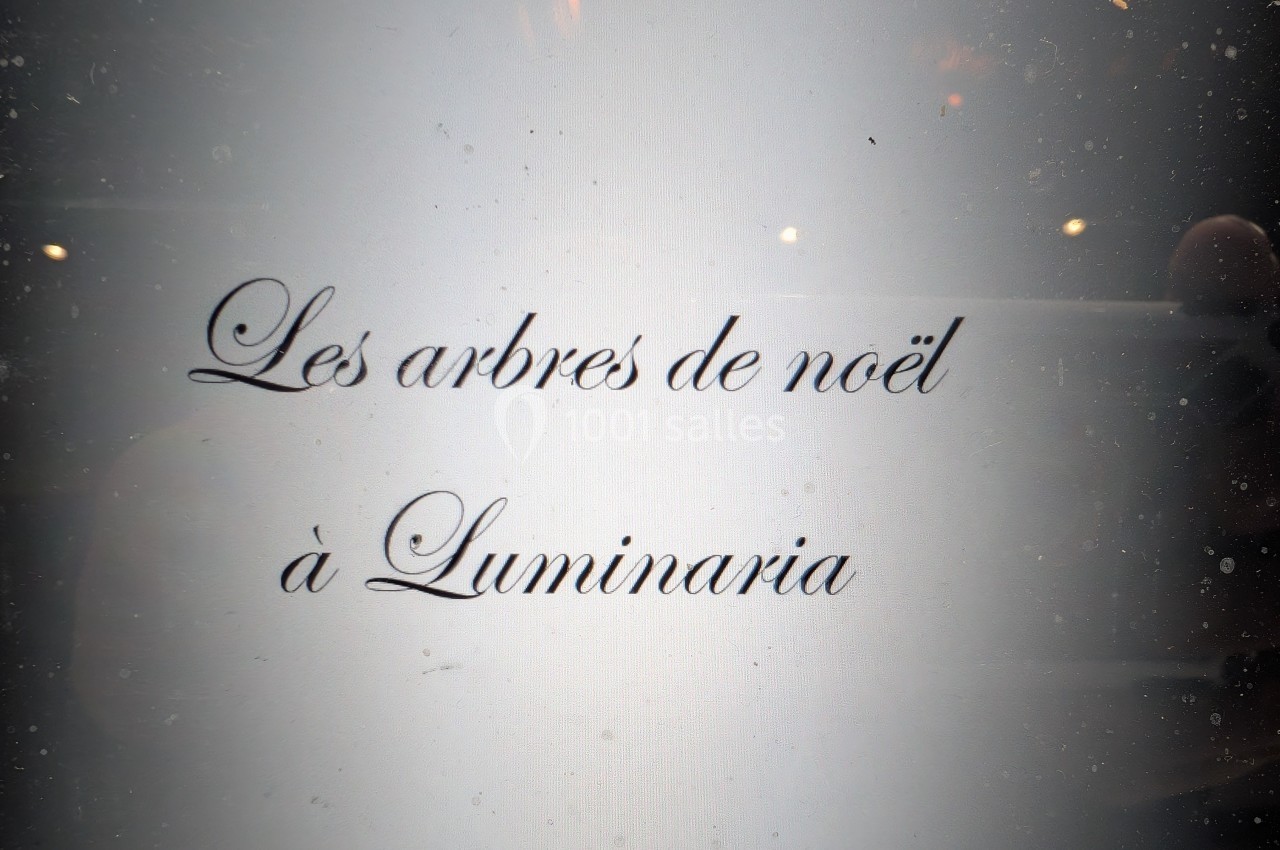 Texte en écriture cursive indiquant ’Les arbres de Noël à Luminaria’ sur un fond clair avec des reflets lumineux.
