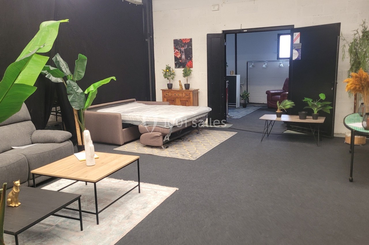 Espace aménagé avec canapé, lit déplié, plantes et meubles modernes dans une pièce au sol sombre.