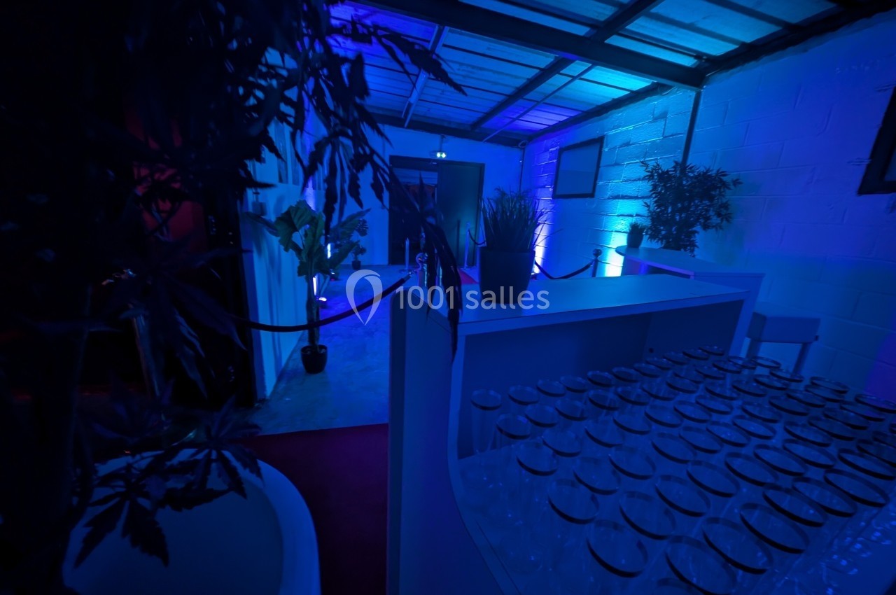 Salle sombre éclairée de lumières bleues, avec un comptoir rempli de verres et des plantes en décoration.