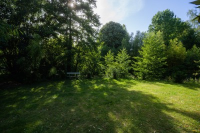 Un banc blanc isolé au bord d'une clairière entourée d'arbres verdoyants sous une lumière ensoleillée.