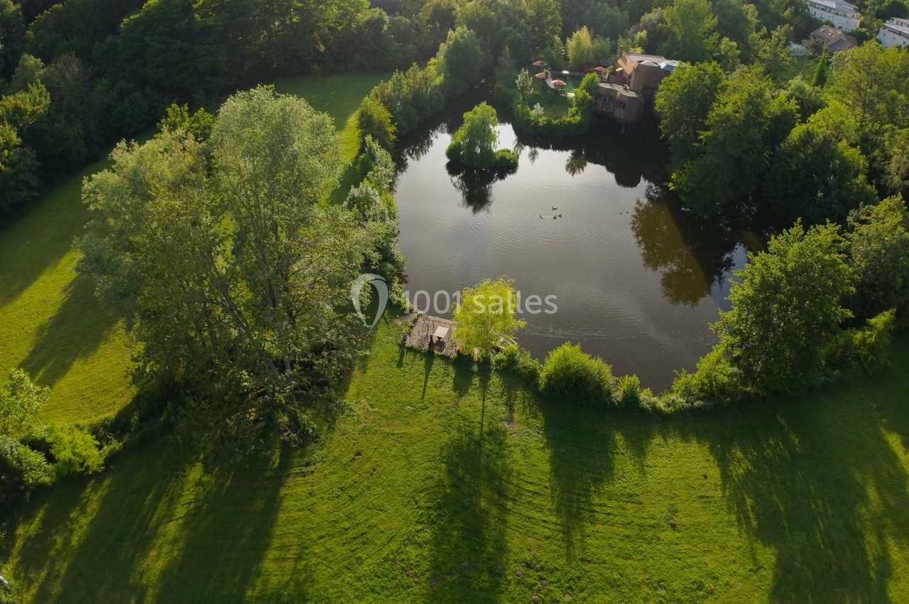 Vue aérienne d'un étang entouré d'arbres et de verdure, avec une petite plateforme en bois au bord de l'eau.