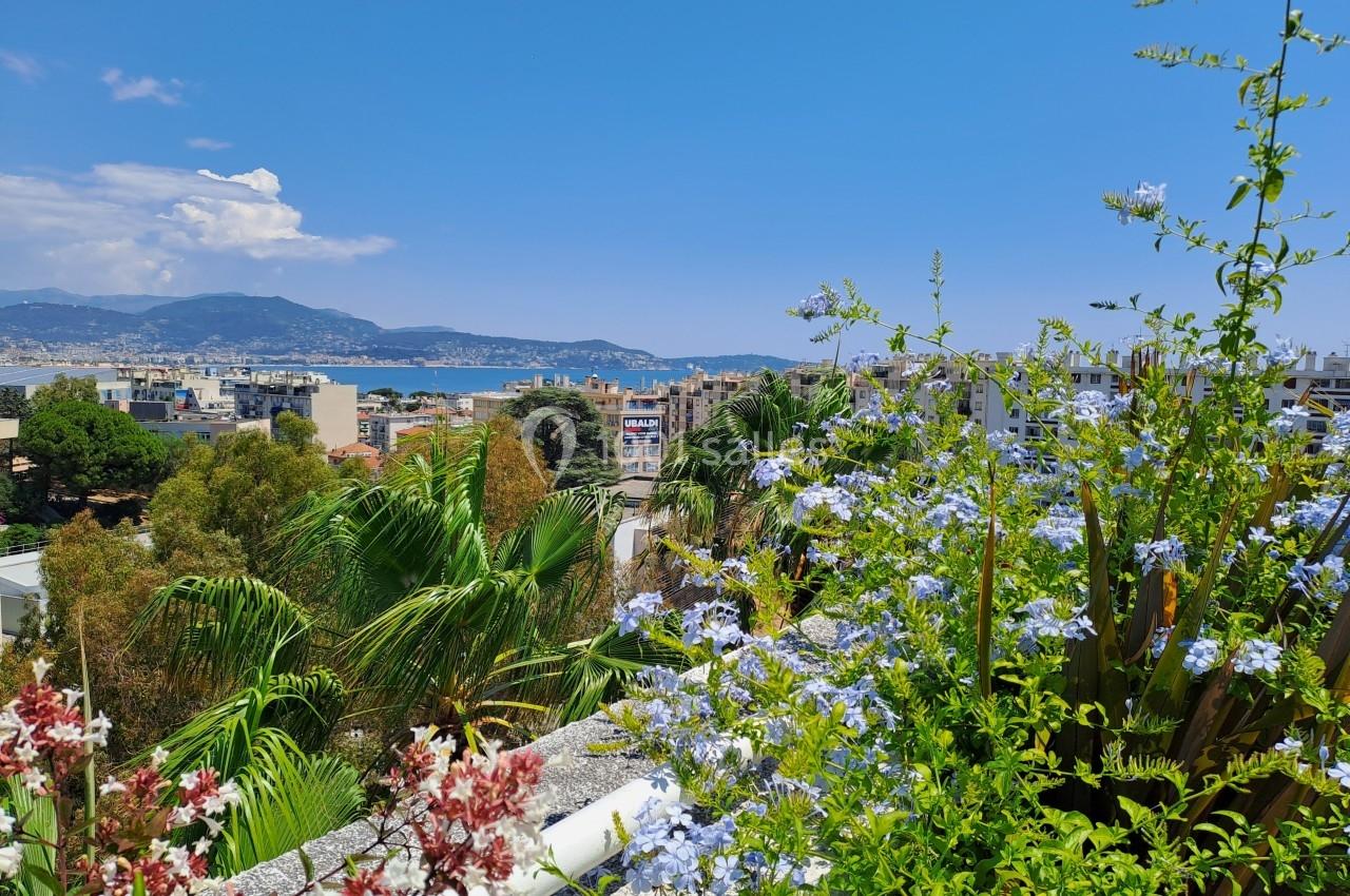 Vue sur une ville côtière avec des collines en arrière-plan, des plantes fleuries au premier plan et la mer au loin.