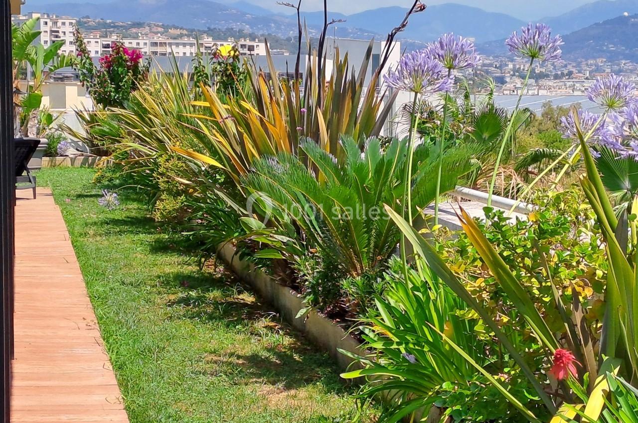 Jardin fleuri avec des plantes variées et des agapanthes, bordé d'une terrasse en bois, vue sur des montagnes en arrière…