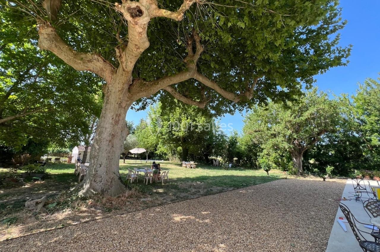 Allée en gravier bordée d'arbres et de verdure, avec des tables et chaises disposées à l'ombre.