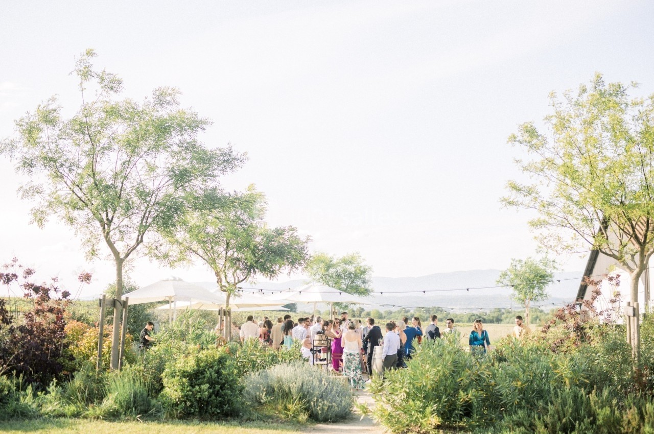Groupe de personnes rassemblées dans un jardin ensoleillé, entouré de verdure et de parasols blancs.