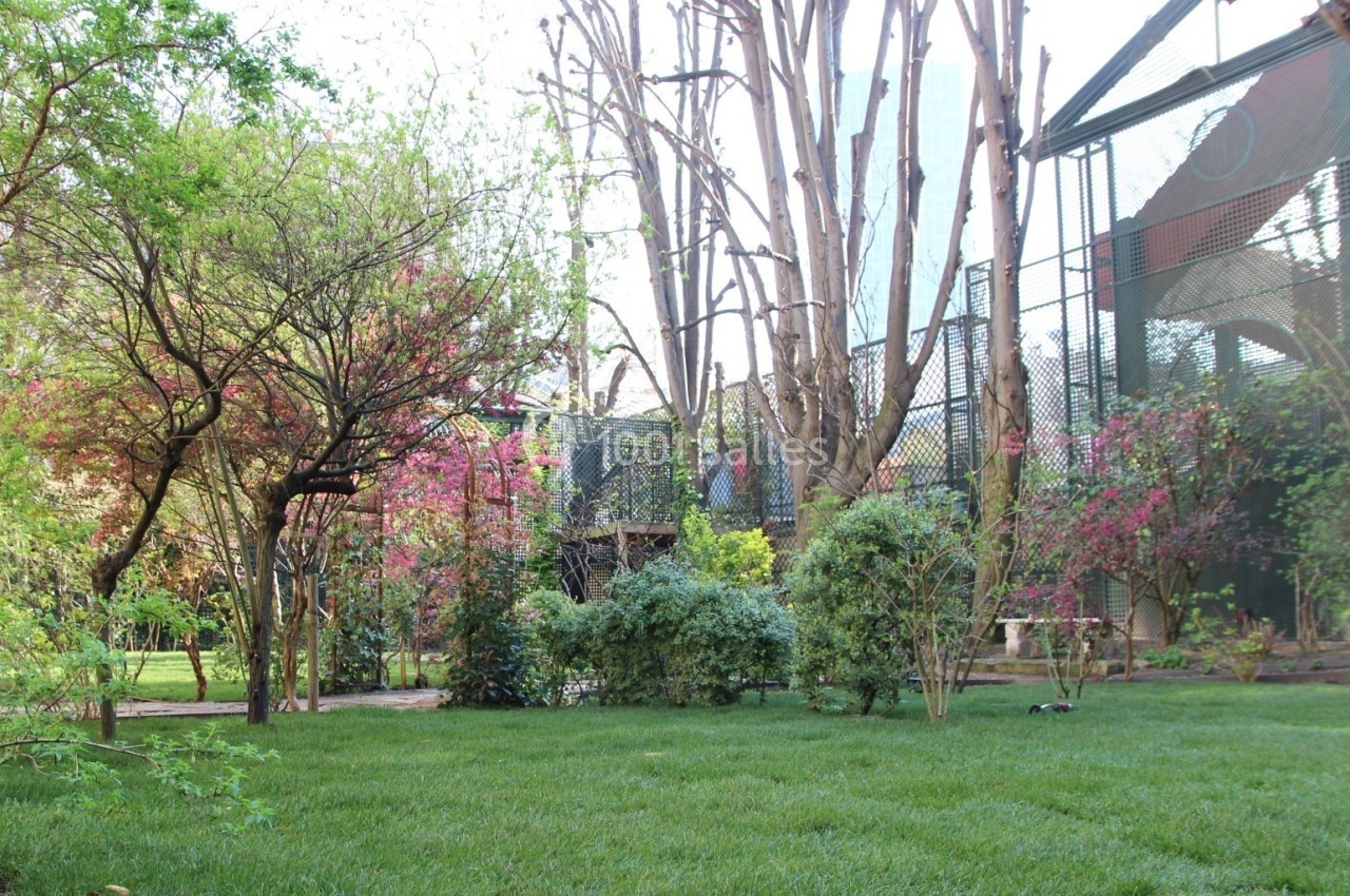 Jardin verdoyant avec pelouse, arbustes, arbres fleuris et structure grillagée en arrière-plan.