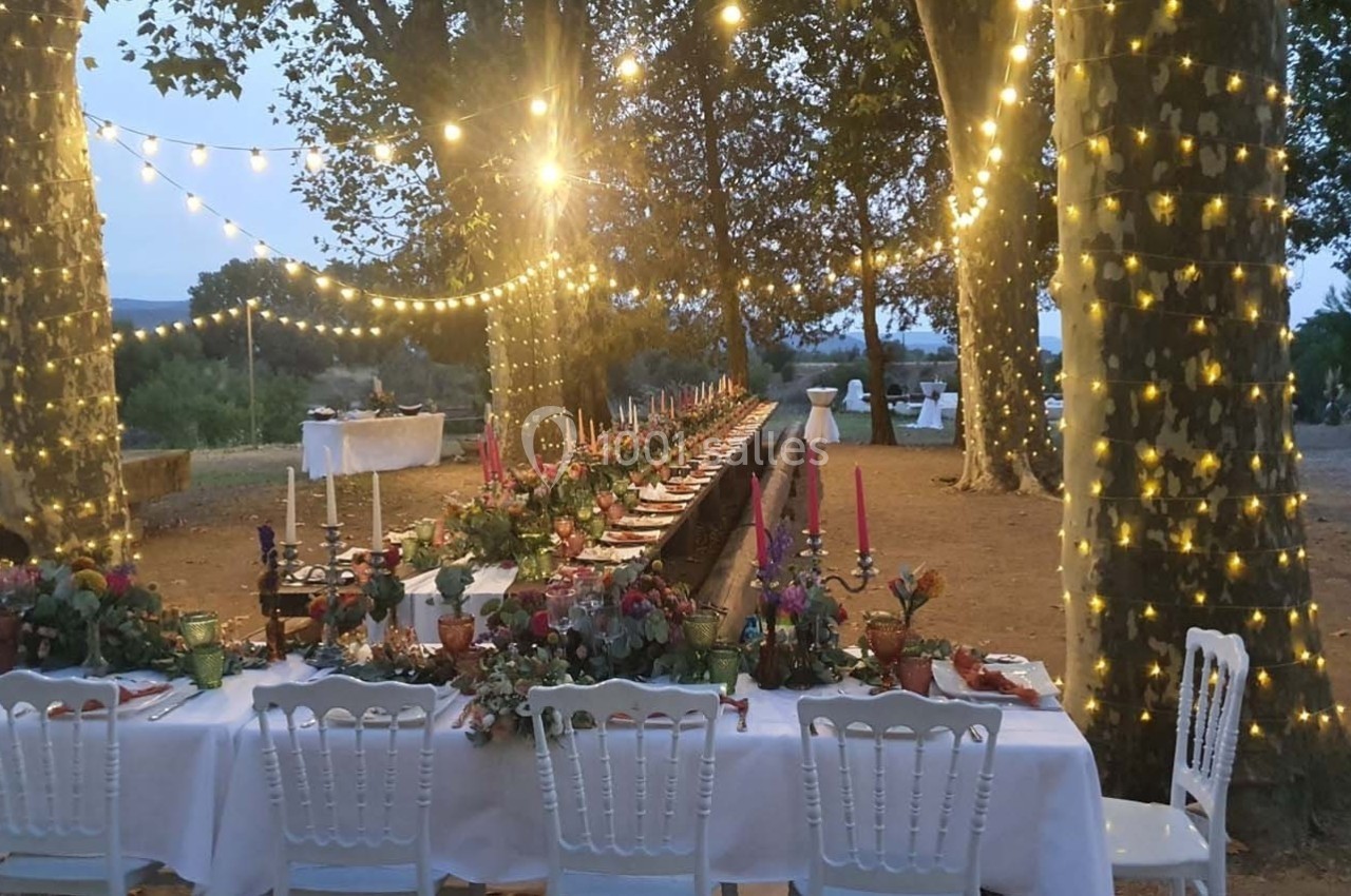 Grande table décorée pour un dîner en plein air sous des guirlandes lumineuses, entourée d'arbres au crépuscule.