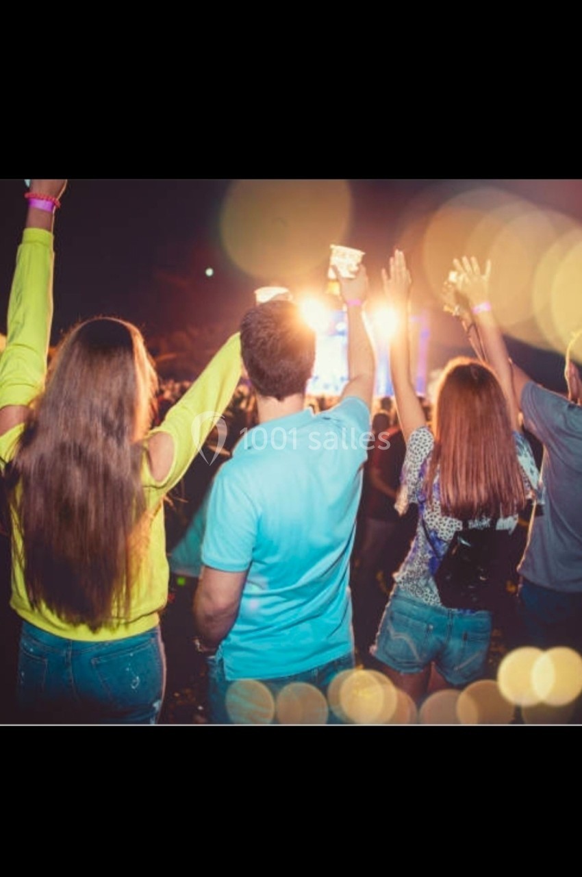 Des personnes de dos, bras levés, profitant d'un concert ou d'une fête en plein air, éclairées par des lumières vives.