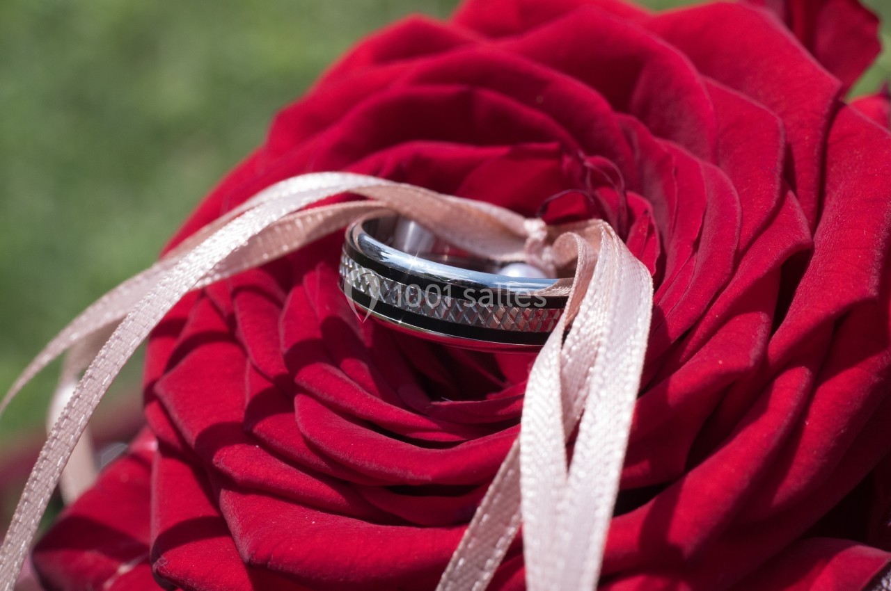Deux alliances argentées posées sur une rose rouge, entourées de rubans roses.