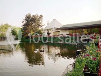 Location salle Wevelgem (Flandre occidentale) - Den Oesterput #16