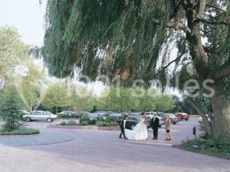 Location salle Wevelgem (Flandre occidentale) - Den Oesterput #16