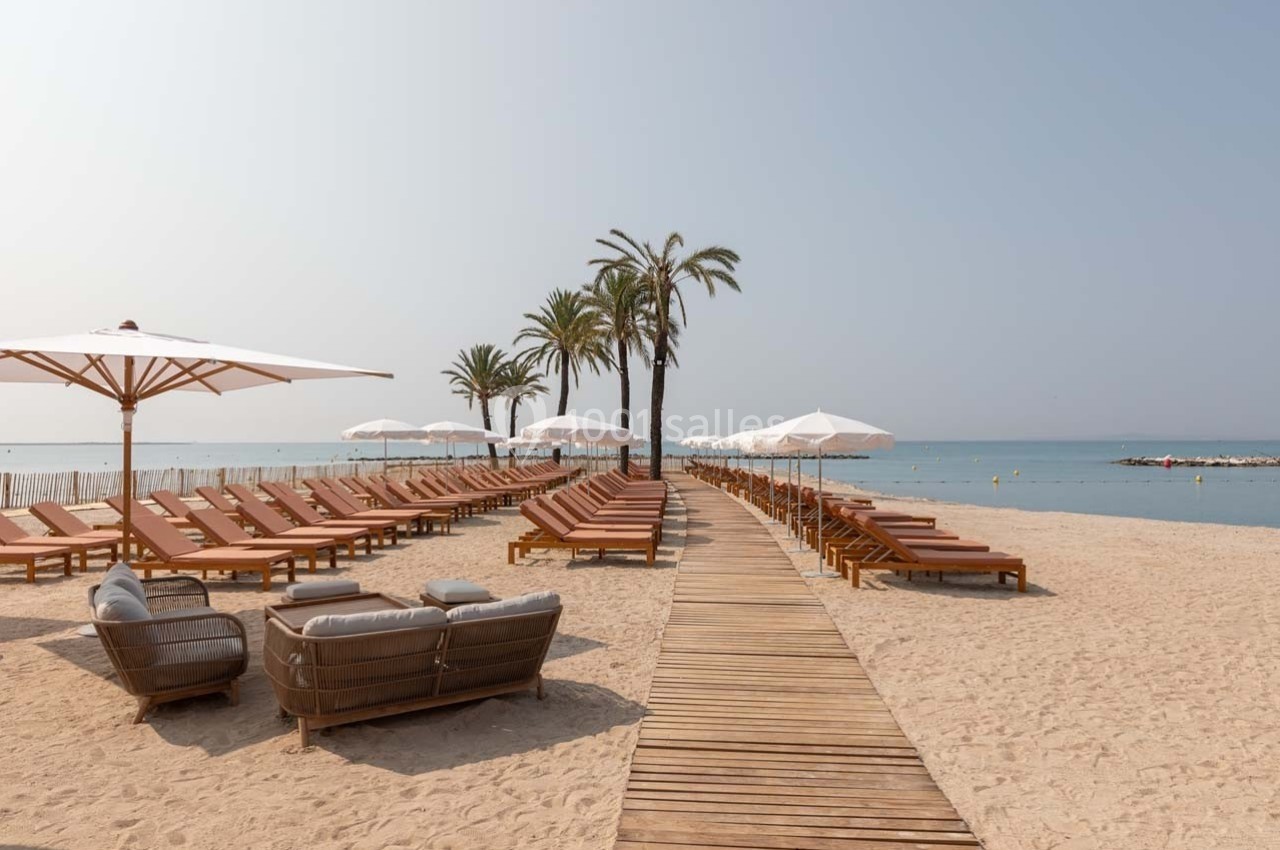 Plage aménagée avec transats en bois, parasols blancs et palmiers, bordée par une mer calme sous un ciel dégagé.