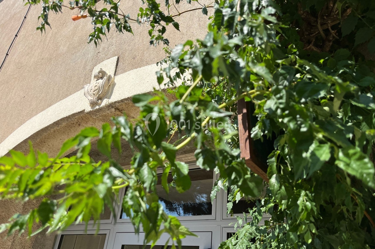 Plantes grimpantes et feuillage dense encadrant une porte vitrée sur une façade beige ensoleillée.