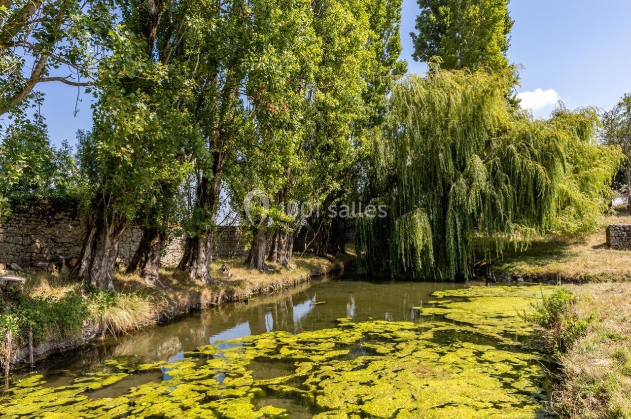 Étang bordé d'arbres et de végétation, avec des algues flottant à la surface de l'eau sous un ciel dégagé.