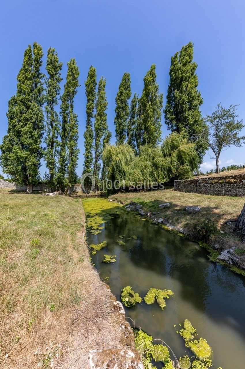Un ruisseau bordé de végétation, avec des peupliers et un saule sous un ciel bleu dégagé.
