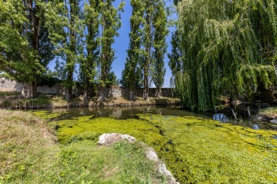 Chateau de Feusse - photo 3