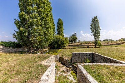 Chateau de Feusse - photo 5