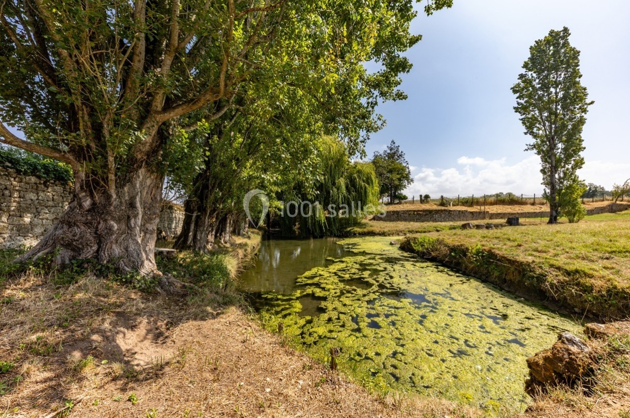 Étang bordé d'arbres avec des algues en surface, entouré de prairie et d'un mur de pierre sous un ciel dégagé.