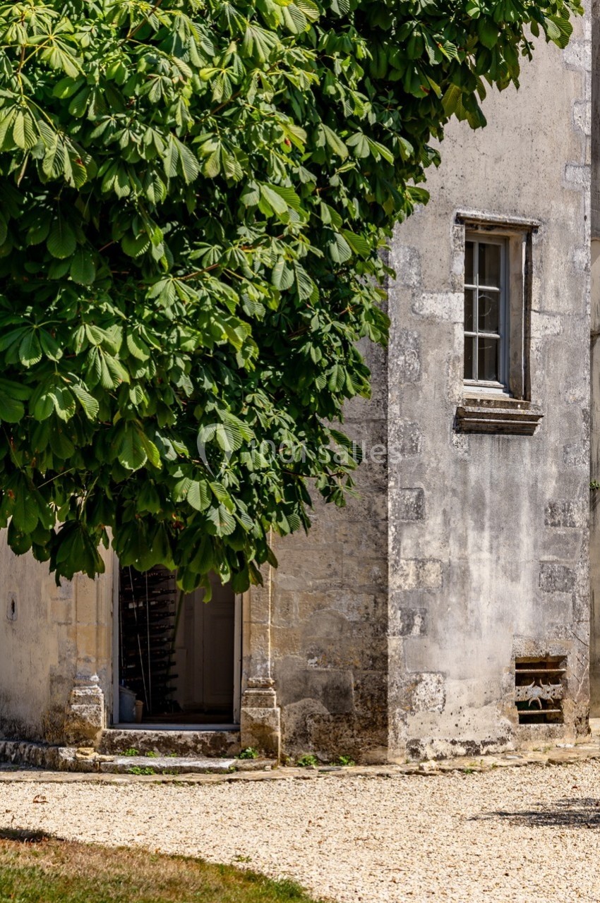 Façade en pierre d'un bâtiment ancien avec une porte ouverte, une fenêtre et un arbre partiellement visible.