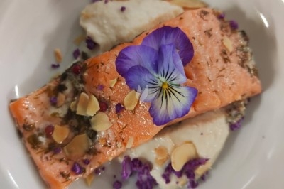Filet de poisson avec sauce au vin rouge, purée, lard croustillant et garniture de champignons sur une assiette blanche.