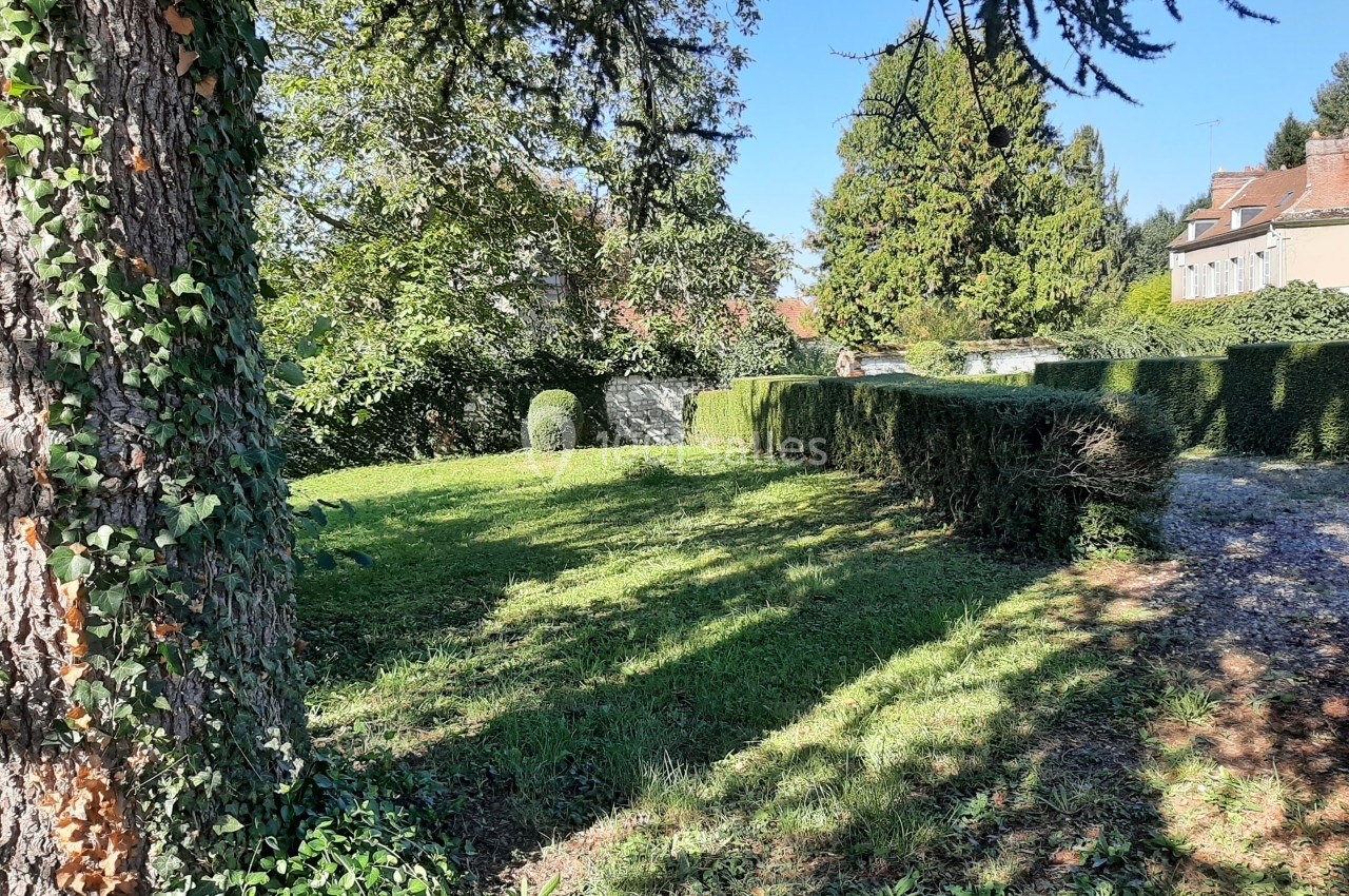 Jardin verdoyant avec pelouse, haies taillées, arbres et bâtiments résidentiels en arrière-plan sous un ciel bleu.