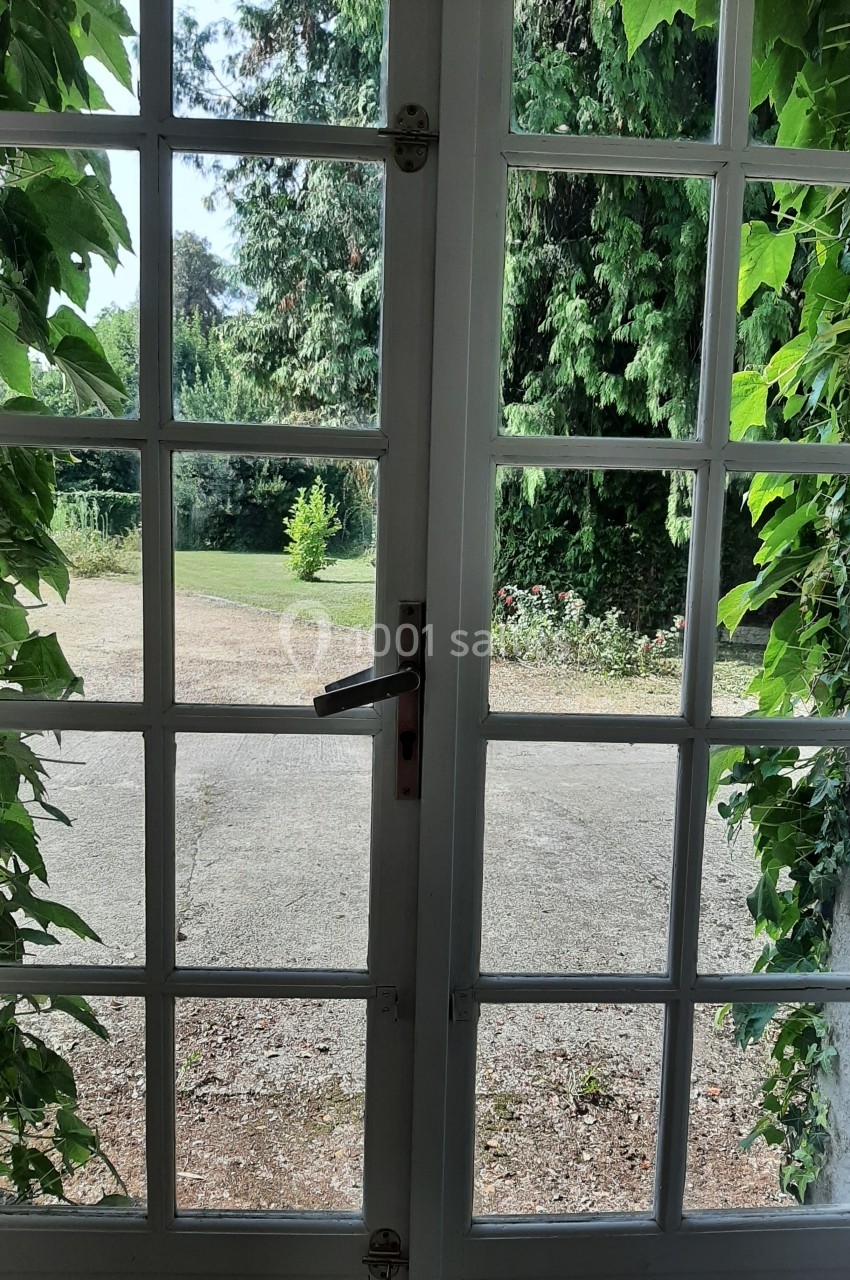 Vue depuis une porte-fenêtre vitrée entourée de lierre, donnant sur un jardin verdoyant et un chemin ensoleillé.