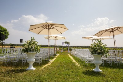 Deco Events - photo 3