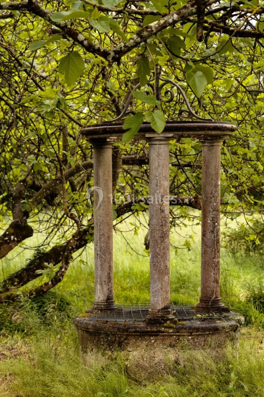 Puits en pierre ancienne entouré de végétation et partiellement ombragé par les branches d'un arbre.