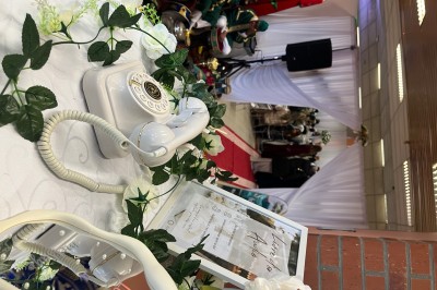 Un homme en chemise rayée bleue utilise un téléphone fixe dans une pièce ornée de décorations classiques.