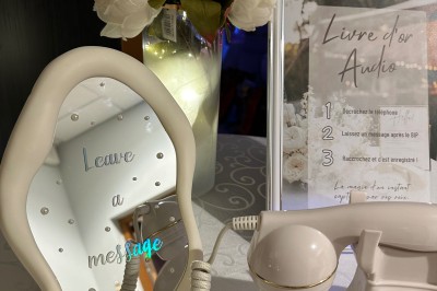 Un homme en chemise rayée bleue utilise un téléphone fixe dans une pièce ornée de décorations classiques.