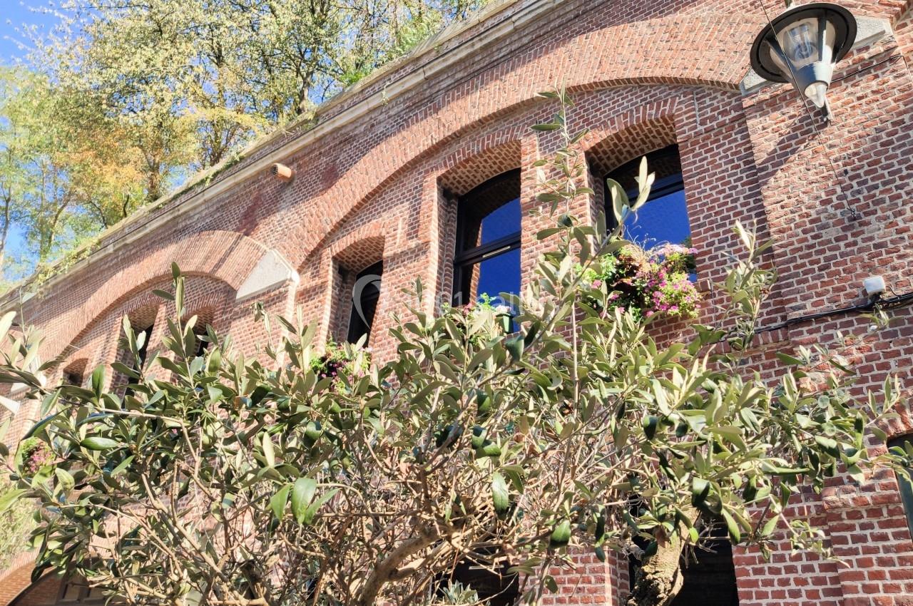 Façade en briques rouges avec fenêtres cintrées, lampadaire et végétation, dont un olivier au premier plan.